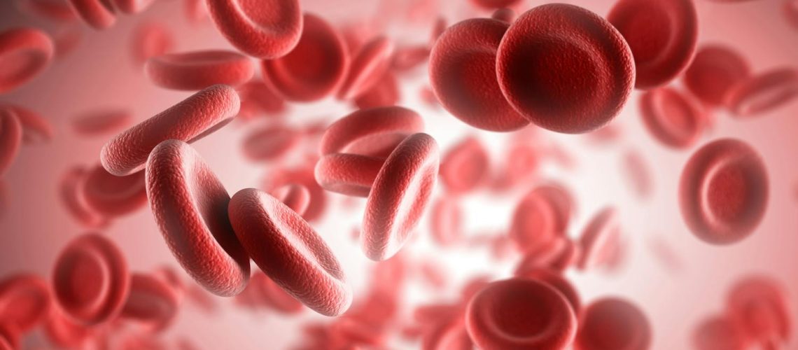 Que manger quand on a trop de globules rouges ? Que manger quand on a trop de globules rouges ?